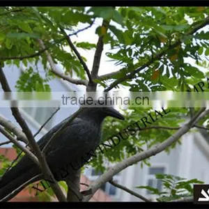 Garden Decoration Crow Decoys, Crow Decoys of Black Decoys thumbnail-3