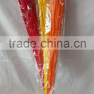 Willow Branches thumbnail-2