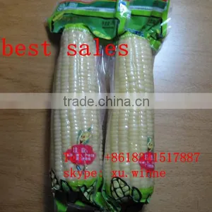 Sweet Frozen White Corn Maize Cob for Sale thumbnail-2