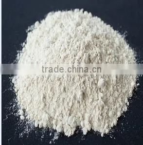 Professional Supplier Exported Since 1992 Ground Garlic thumbnail-2
