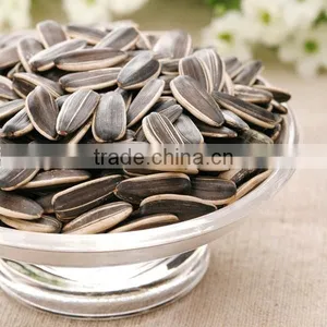 Online Sale Sunflower Seeds With Different Specification thumbnail-1