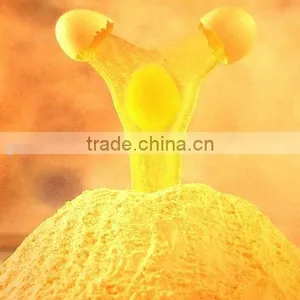 Egg Yolk Powder thumbnail-1