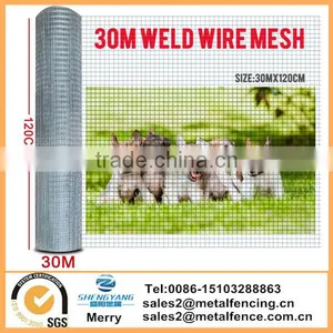 New 20/30 Metre Roll Welded Wire Mesh Graden Pet Chicken Coop Aviary Fencing thumbnail-3