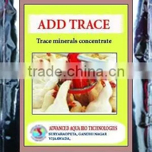 Effective Mineral Supplement for Enhanced Growth and Disease Resistance in Chicken Poultry & Fisheries thumbnail-1