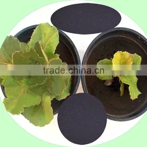 Soluble Humic Acid Power Organic Fertilizer Price thumbnail-5