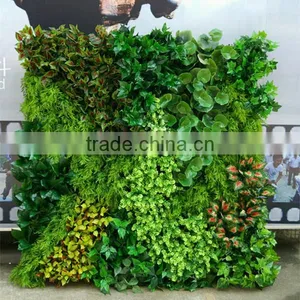 SJ0409027 Plant Climbing Walls Plastic Plants Wall/vertical Green Wall Garden thumbnail-1