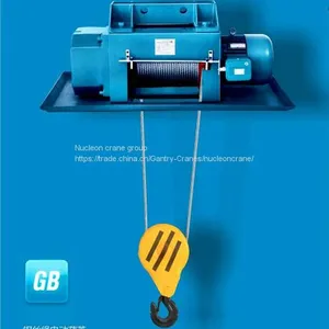 Metallurgy Electric Wire Hoist for Special Crane thumbnail-3