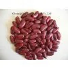 Sell British Red Kidney Beans thumbnail-1