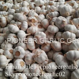 4.5-5cm Normal White Chinese Fresh Garlic In Mesh Bag Packing thumbnail-3