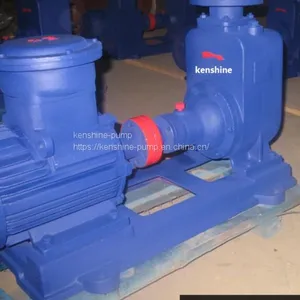 CYZ Self Priming Centrifugal Oil Pump thumbnail-1