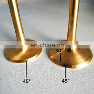 Exhaust Valve Intake Valve Premium Titanium Material Motorcycle Parts for KTM Husqvarna 250 SX-F XC-F XCF-W FC FC250 thumbnail-7