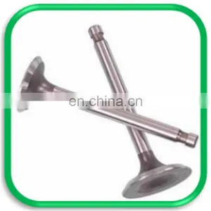 Truck Spare Parts Intake and Exhaust Engine Valve for Daf xf 105 95 106 thumbnail-4