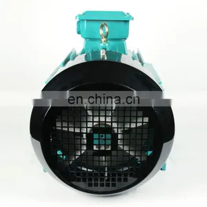 THREE PHASE ELECTRIC MOTOR thumbnail-5