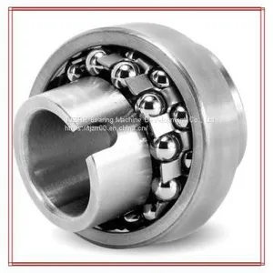 SKF 1318/C3 Self Aligning Ball Bearings thumbnail-2