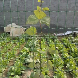 Welded Galvanized PVC Coated Fence Cheap Price thumbnail-3