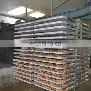 Continuous Commercial Food Freeze Dryer Customized 1000kg Fruit Freeze Dryer Sale Price thumbnail-5