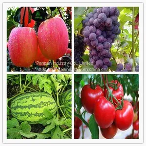 Plant Hormone Cppu Forchlorfenuron 1%sp for Grape thumbnail-2