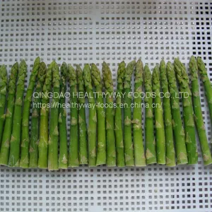 Frozen Asparagus thumbnail-1