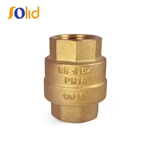 Non Return Brass Vertical Spring Check Valve thumbnail-1