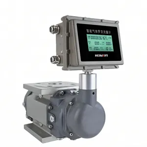 Smart Gas Roots Flow Meter thumbnail-1