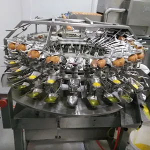 Pasteurized Liquid Egg & Egg Powder Processing Line thumbnail-4