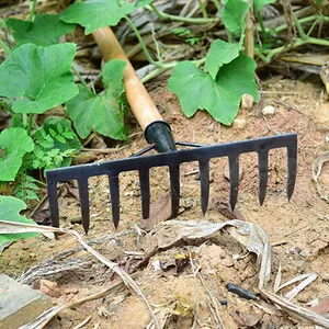 Ghana Durable Landscape Rake Yard Leveling Rake 20 Teeth Steel Rake thumbnail-2