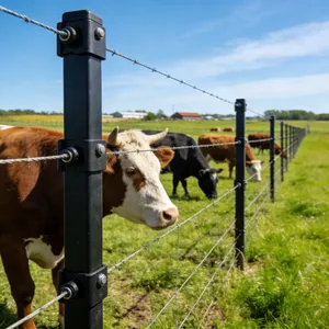 Galvanized Steel Poultry Husbandry Equipment Goat Cattle Sheep Grassland Farm Livestock Farm Fence thumbnail-4