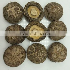 Price for Wholesale Dried Shiitake 1KG thumbnail-5