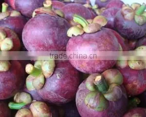Mangosteen thumbnail-1