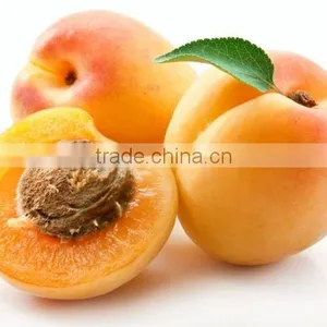 Apricots thumbnail-1