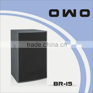 BR Series PA Loudspeaker BR-15 thumbnail-1