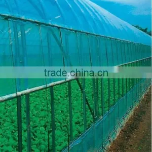 LDPE Greenhouse Film for Agricultural Planting thumbnail-1