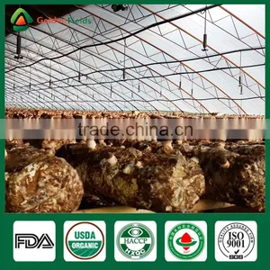 Fresh Shiitake Mushroom,Medicinal Mushroom,Mushroom Cultivation thumbnail-5