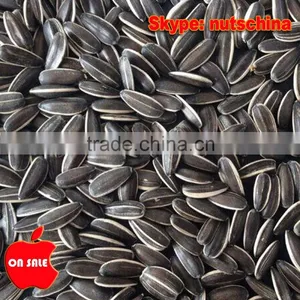 Sunflower Seeds 5009/118/3939/5135/6009 thumbnail-4