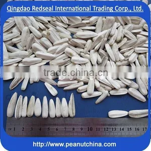 White Sunflower Seeds thumbnail-1