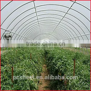 Polycarbonate Hollow Sheet for the Garden Greenhouses thumbnail-3