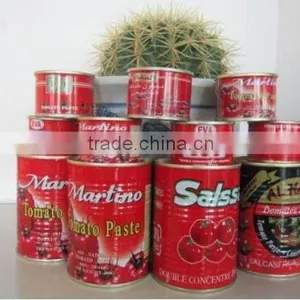 800g Canned Tomato Paste,made in China thumbnail-3