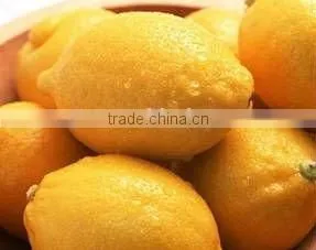 High Quality Lemon thumbnail-1