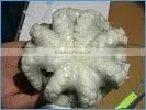 Frozen Octopus Cleaned thumbnail-1
