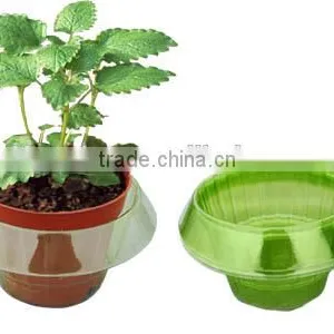 Plastic Slug/snail Guards thumbnail-2