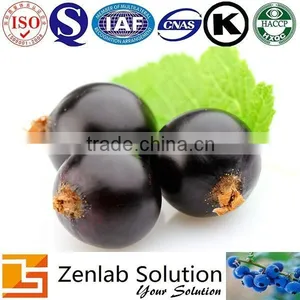 Organic Blackcurrant Extract for Anti-cancer thumbnail-5