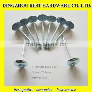 Galvanized Umbrella Head Twisted Roofing Nail thumbnail-6