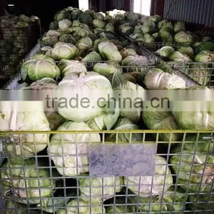 The Wire for Shipment With Fruit Vegetables thumbnail-1