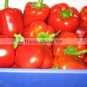Fresh Capsicum thumbnail-1