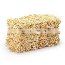 Wheat Straw, Hay Straw, Straw Bale, Hay Bale, Wheat Straw Hay Bale, Hay for Animal thumbnail-1