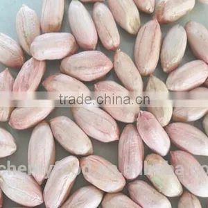 Supplier of Peanuts Kernel and Peanuts Kernel Buyer From All Over the World thumbnail-4
