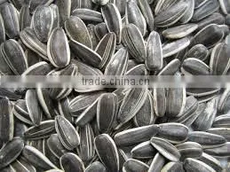 Direct Factory Supply Bulk Organic Sunflower Seeds thumbnail-4