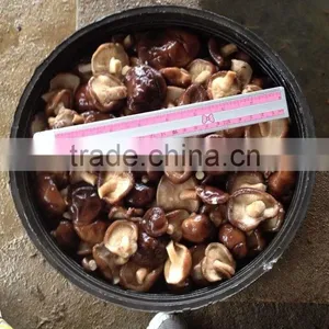 Preserved Shiitake Mushroom Mushroom for Sale Shiitake Mushrooms 50kg Drum thumbnail-1