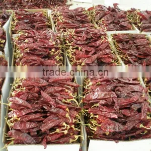 New Crop Sweet Paprika Smoked Paprika thumbnail-5