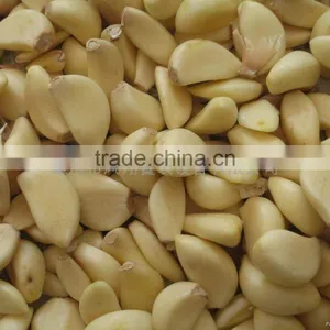 Industrial Automatic Skinless Garlic Peeler Machine thumbnail-5